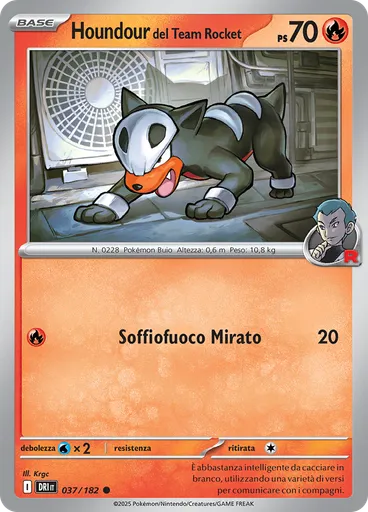 Houndour del Team Rocket
