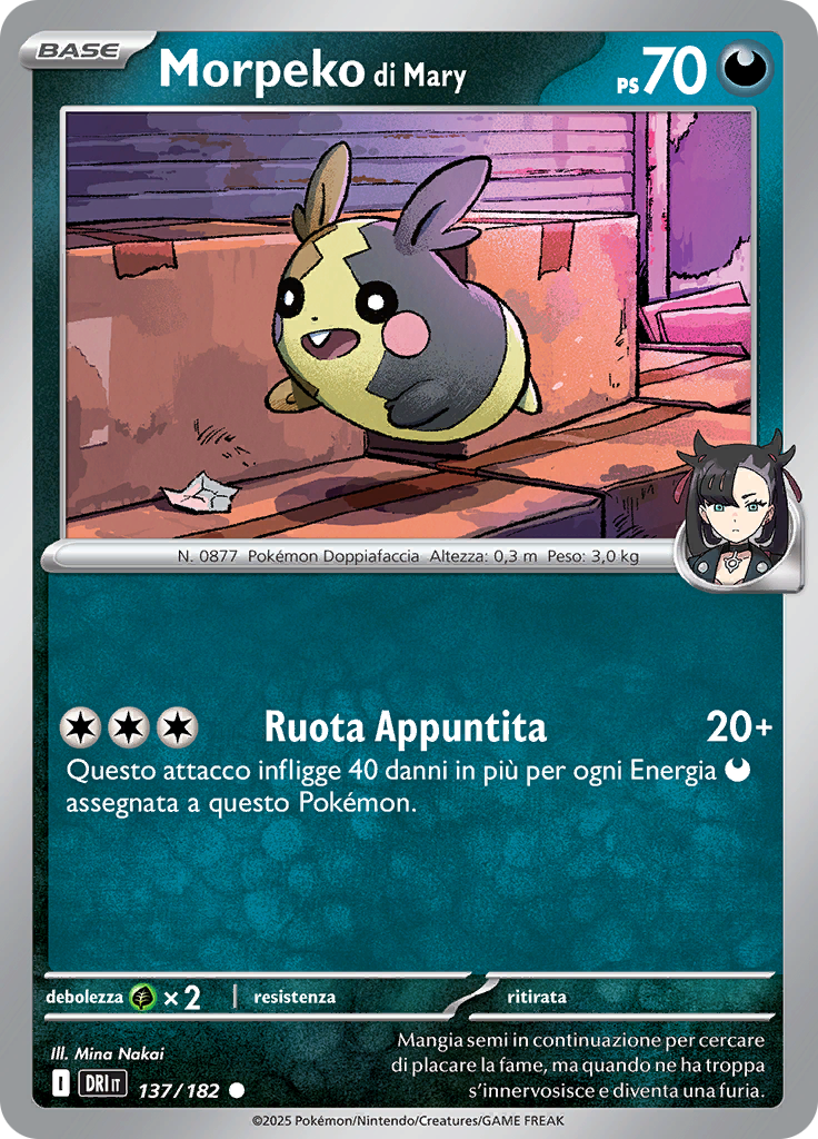 Morpeko di Mary