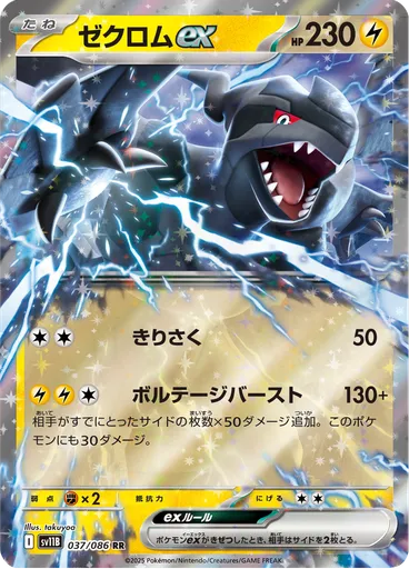 Zekrom ex