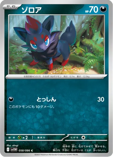 Zorua (Master Ball)