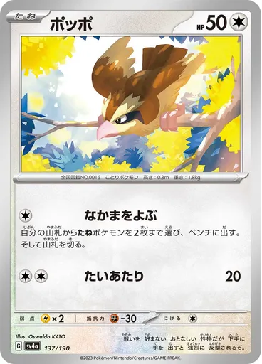 Pidgey