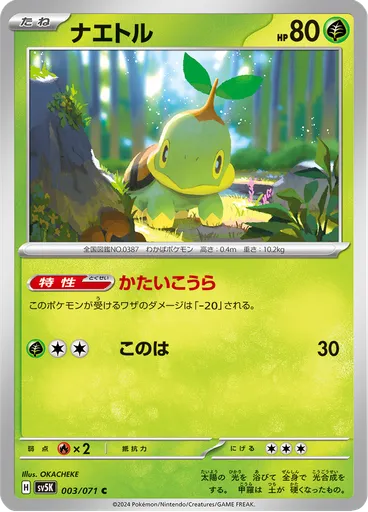 Turtwig