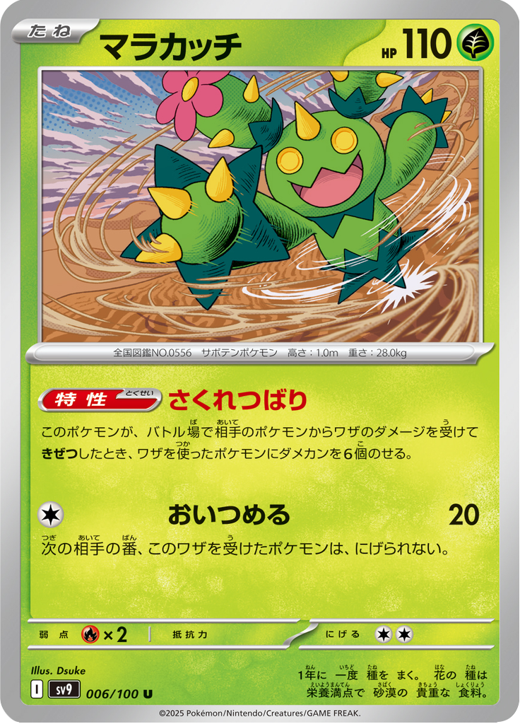 Maractus