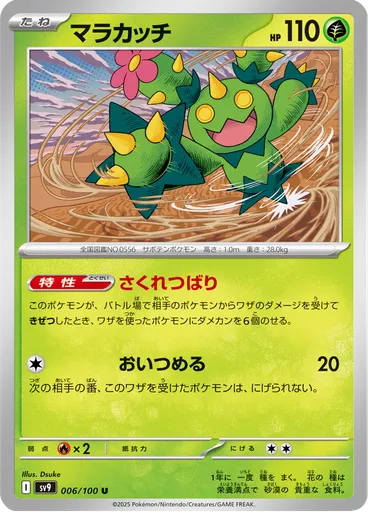 Maractus