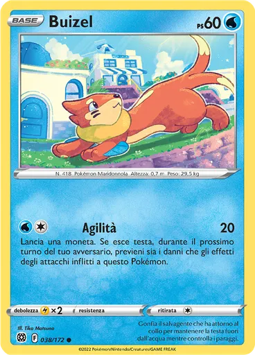 Buizel