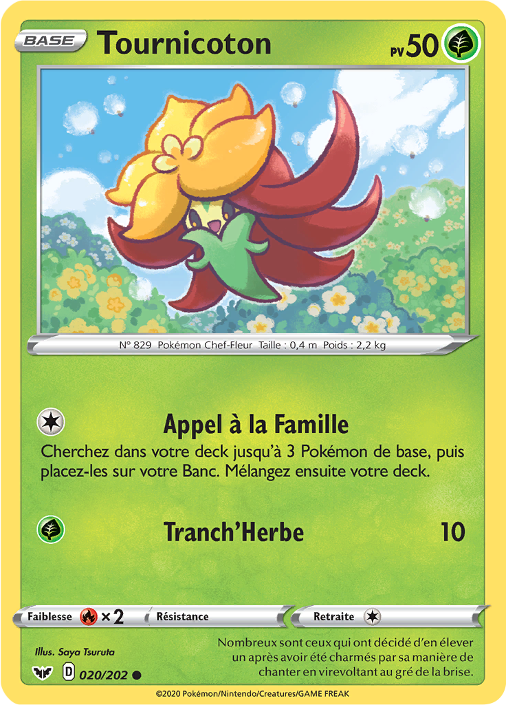 Tournicoton