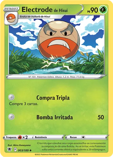 Electrode de Hisui