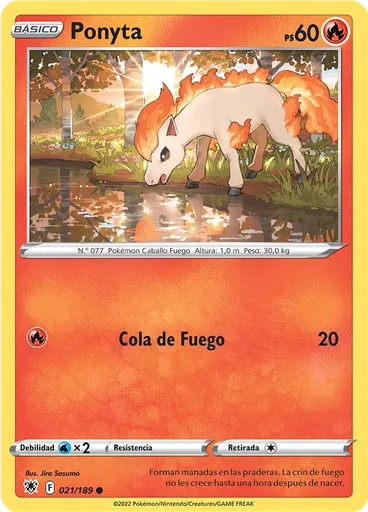 Ponyta
