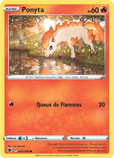 Ponyta