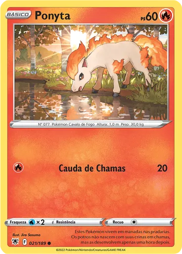 Ponyta