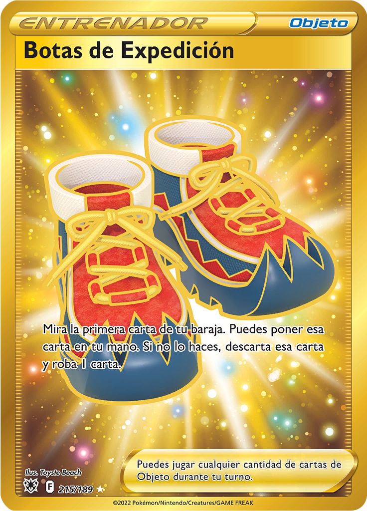 Botas de Expedición