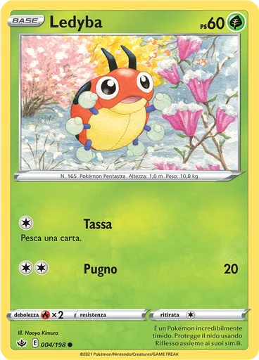 Ledyba