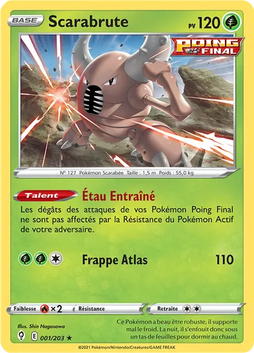 Scarabrute