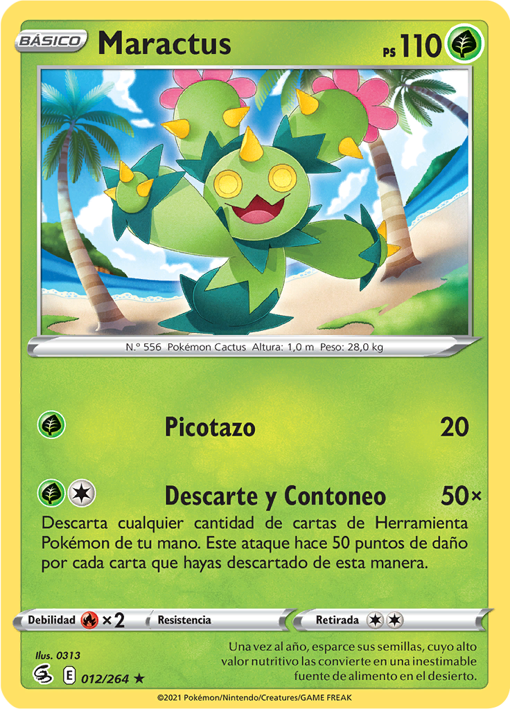 Maractus