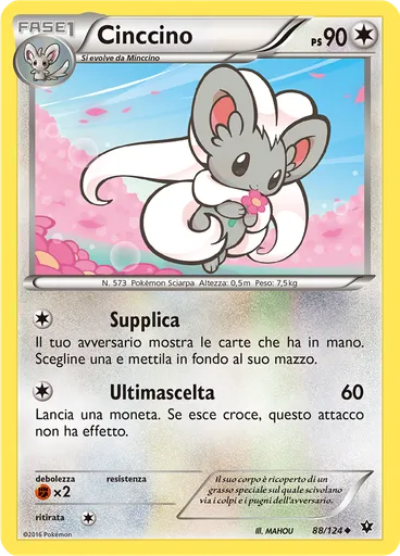 Cinccino
