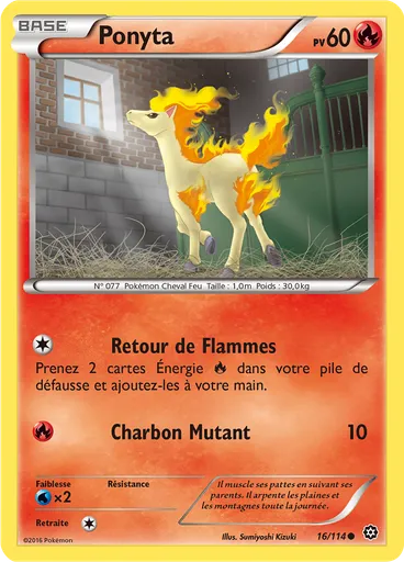 Ponyta