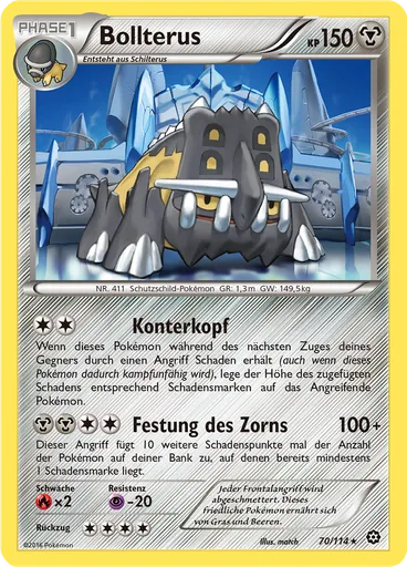 Bollterus