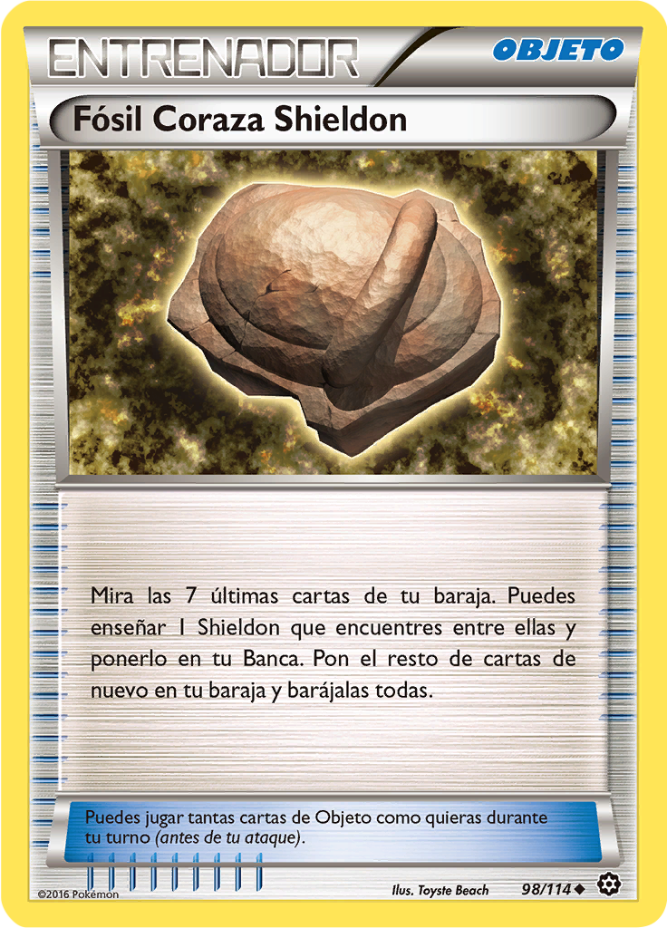 Fósil Coraza Shieldon