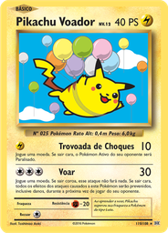 Pikachu Voador