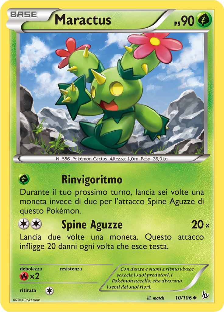 Maractus