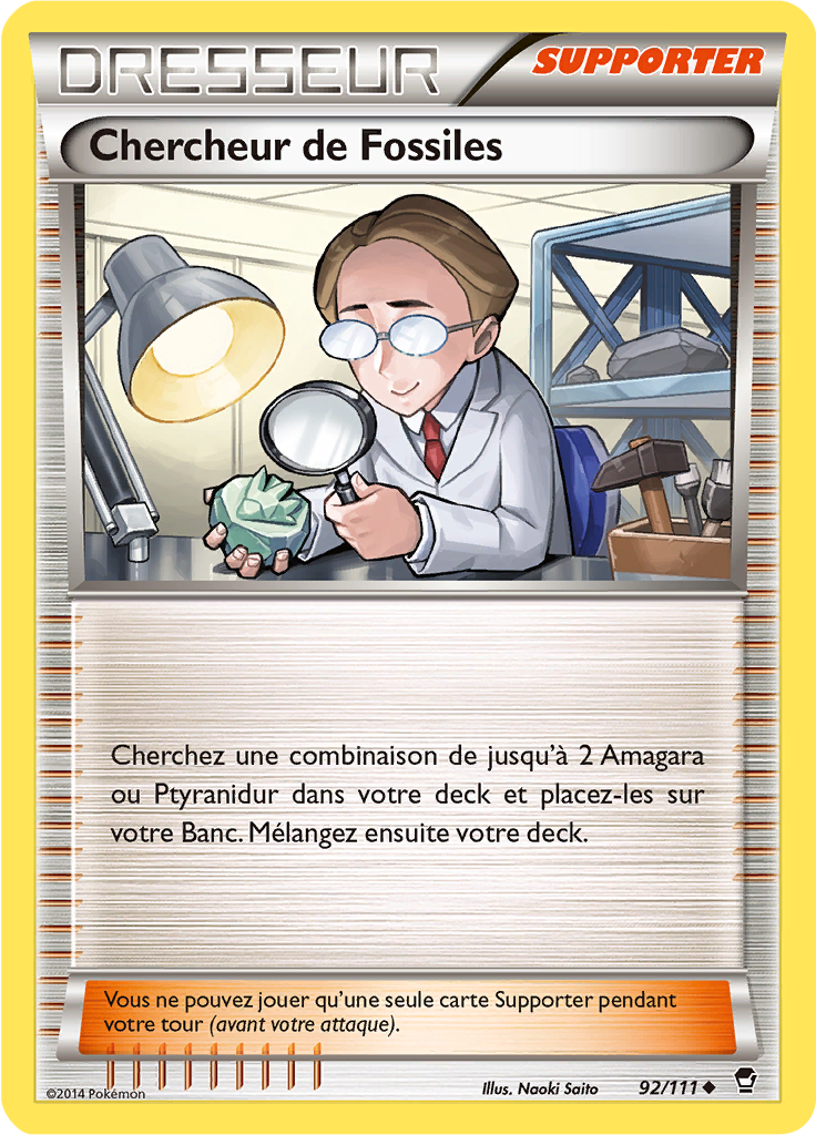 Chercheur de Fossiles