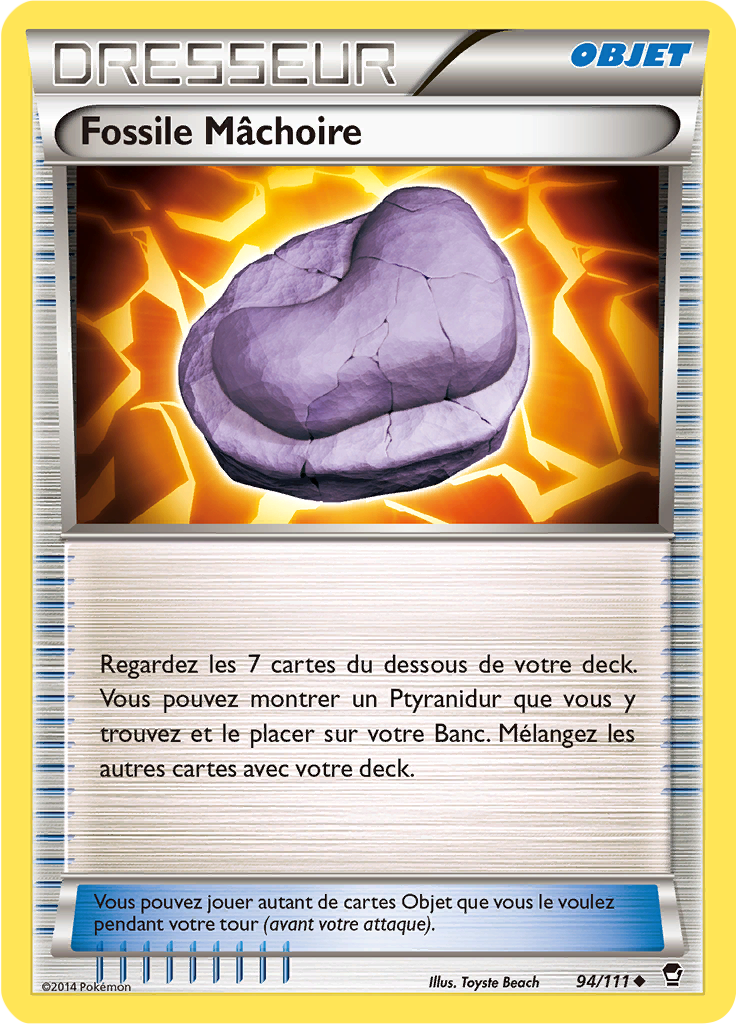 Fossile Mâchoire