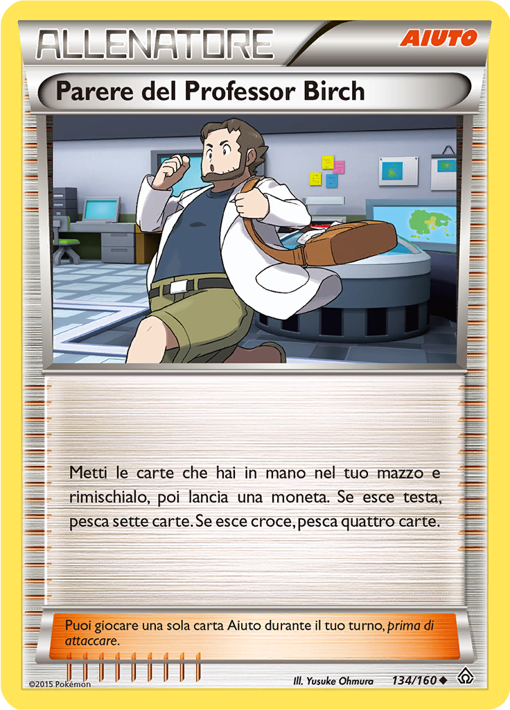 Parere del Professor Birch