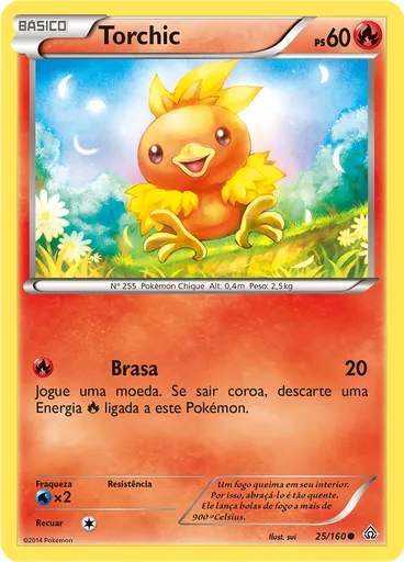 Torchic