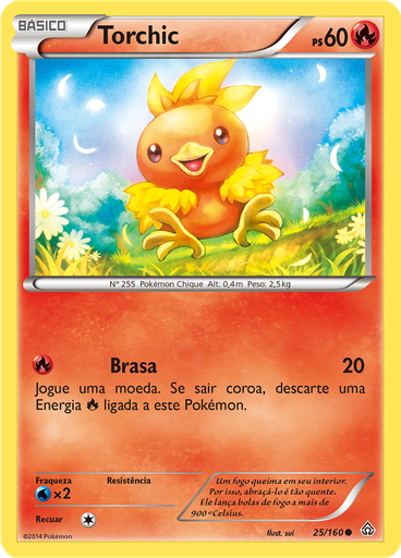 Torchic