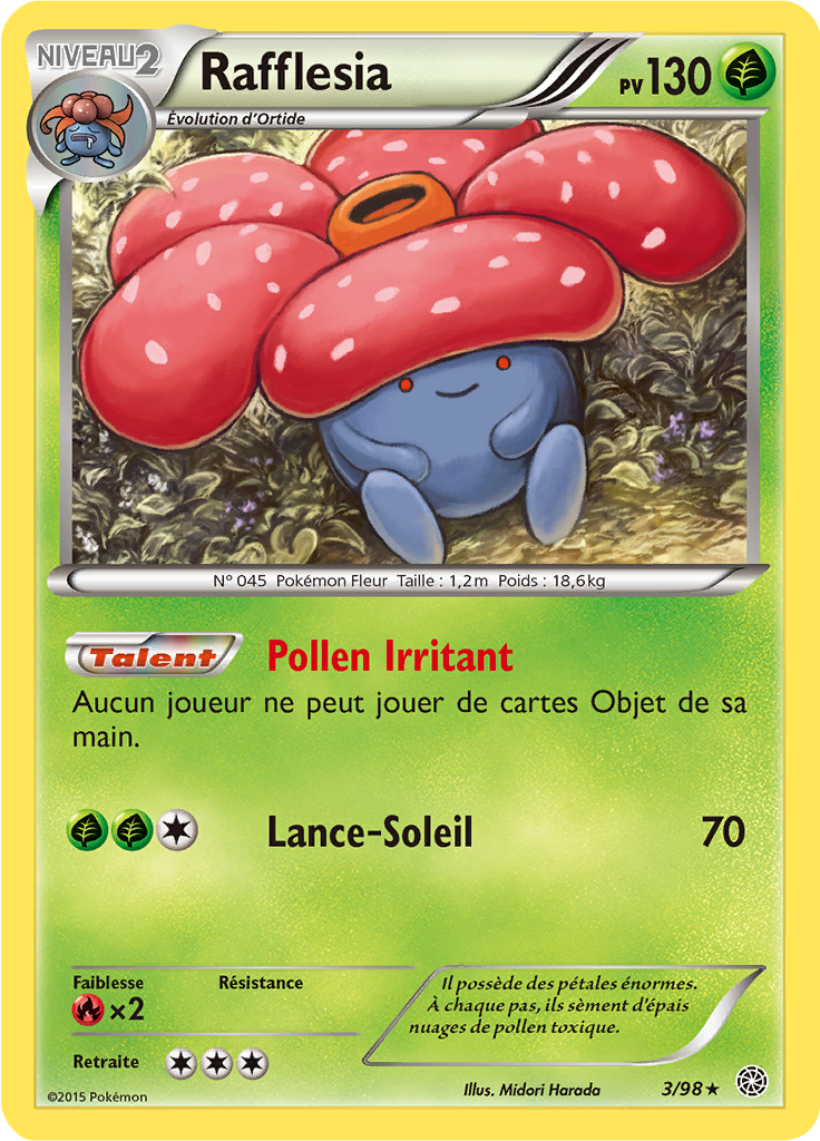 Rafflesia