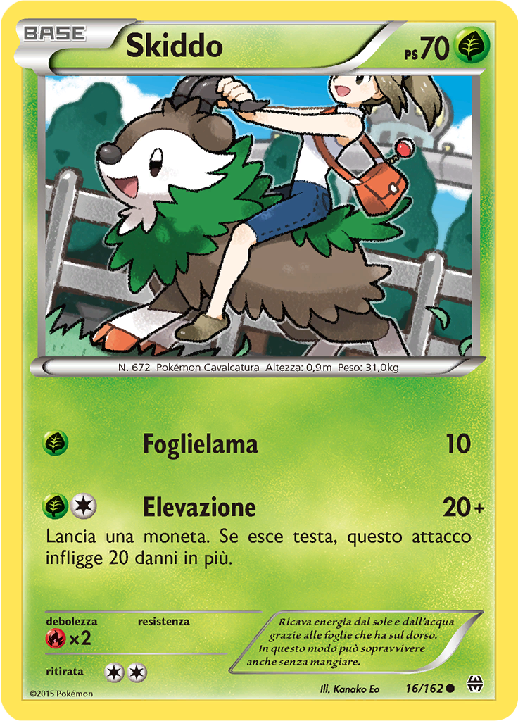 Skiddo