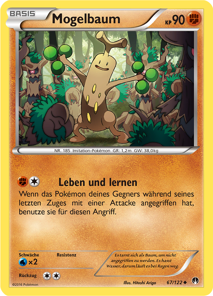 Mogelbaum
