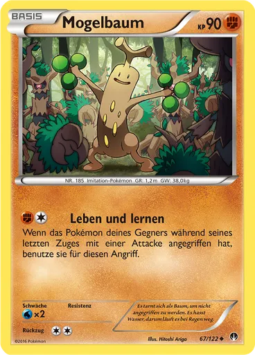 Mogelbaum