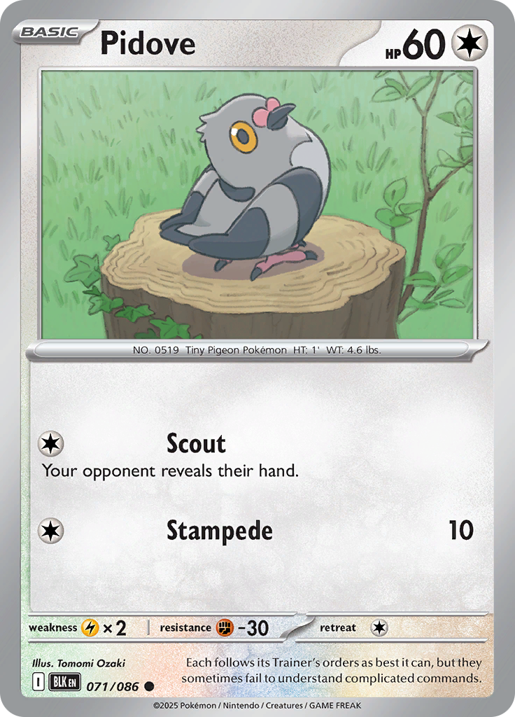 Pidove (Master Ball)