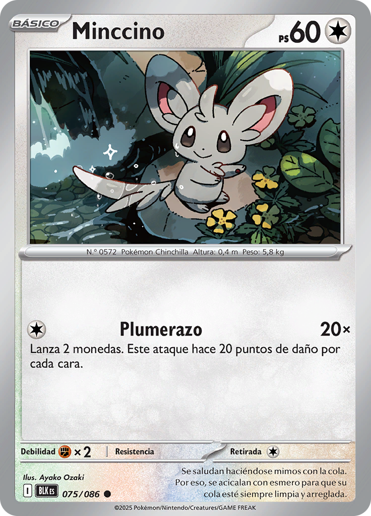 Minccino