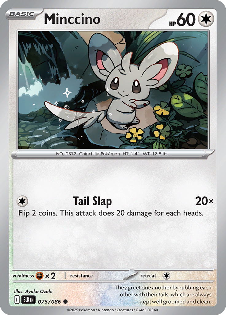 Minccino (Reverse Holo)