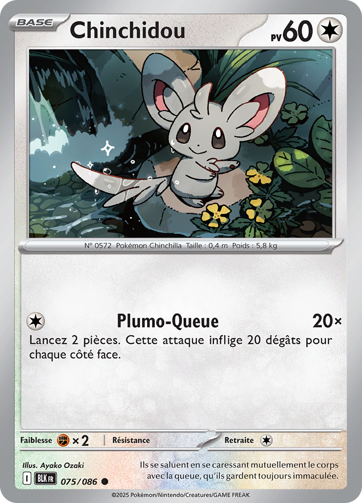 Chinchidou (Reverse Holo)