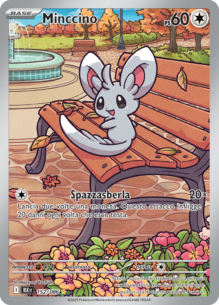 Minccino