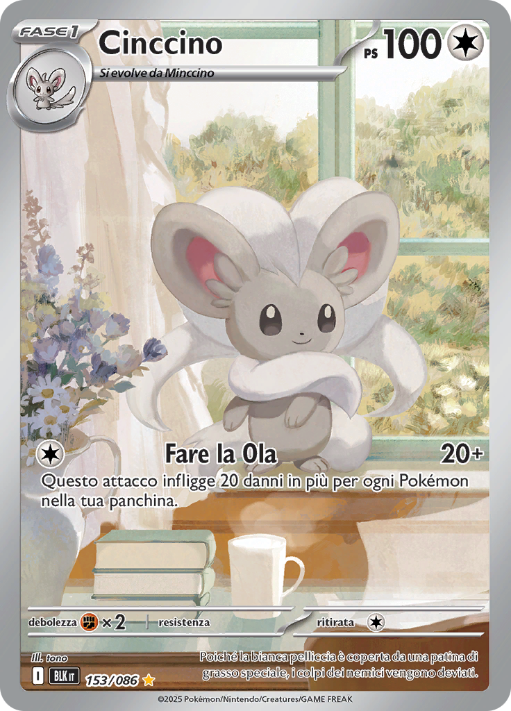 Cinccino