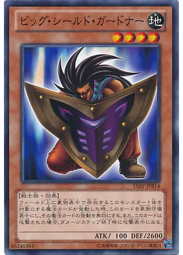 ビッグ・シールド・ガードナー