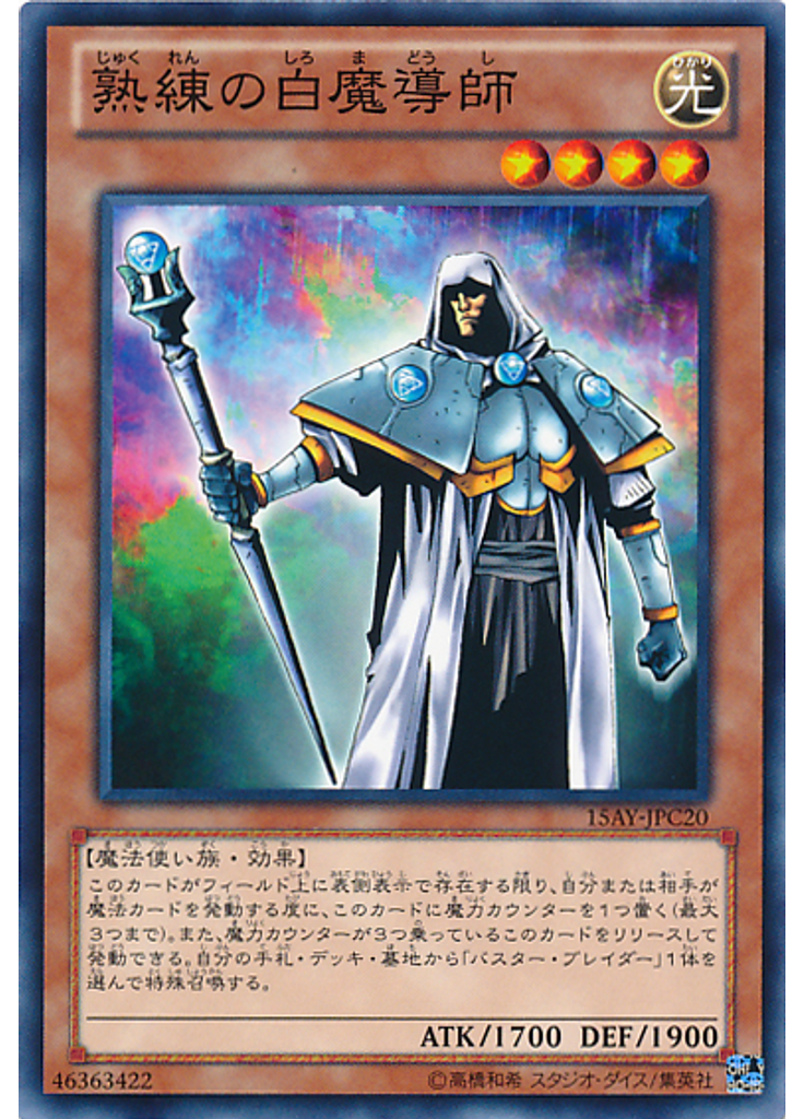 熟練の白魔導師