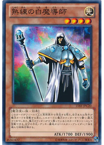 熟練の白魔導師