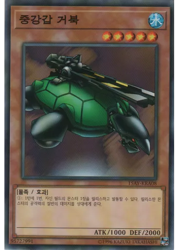 중강갑 거북