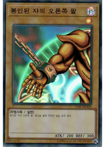 봉인된 자의 오른쪽 팔