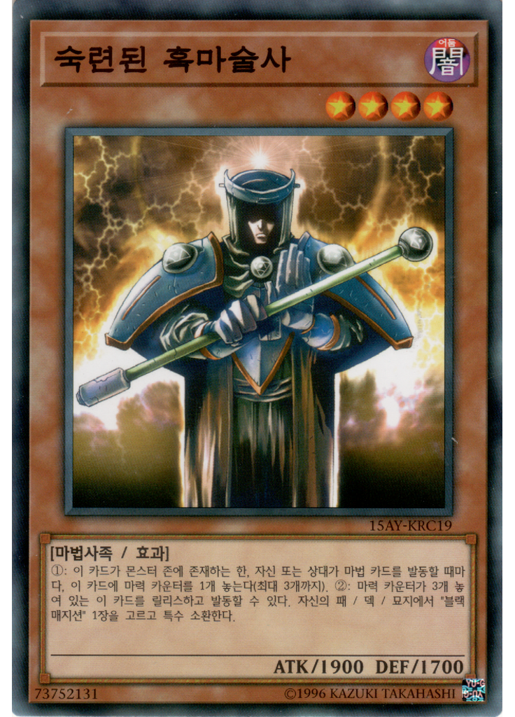 숙련된 흑마술사
