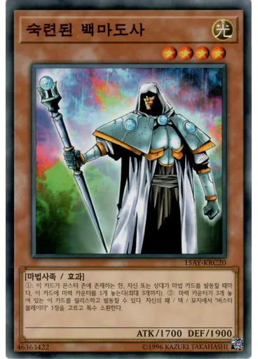 숙련된 백마도사