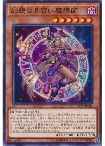 幻想の見習い魔導師
