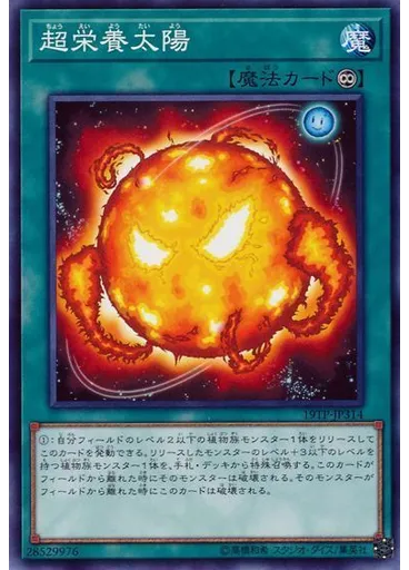 超栄養太陽