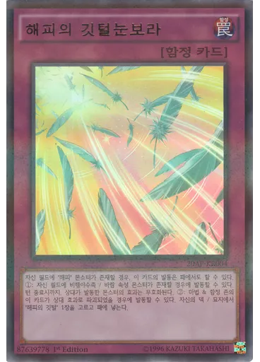 해피의 깃털눈보라