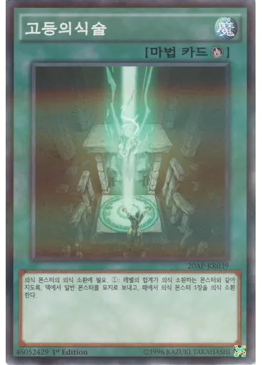 고등의식술
